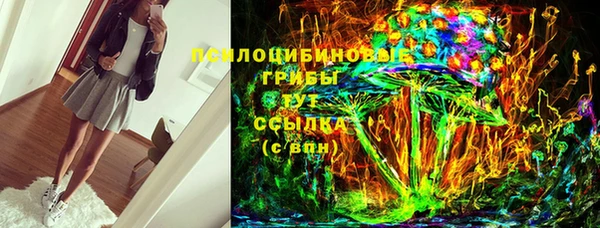 прущие грибы Краснослободск