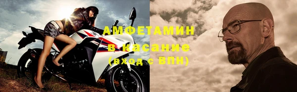 прущие грибы Краснослободск