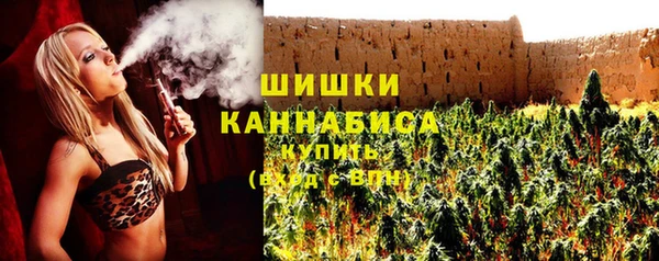 прущие грибы Краснослободск