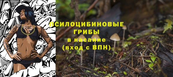 прущие грибы Краснослободск