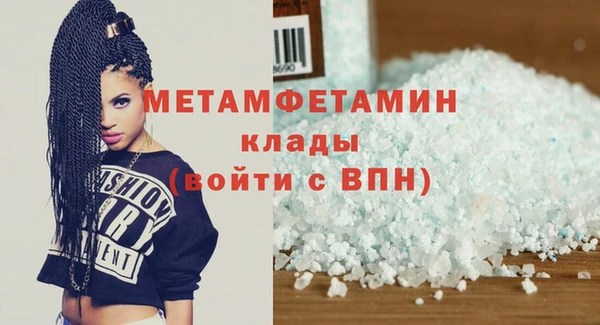прущие грибы Краснослободск