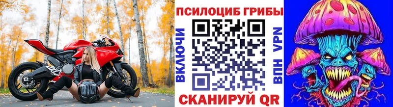 Псилоцибиновые грибы мицелий  Купить  Бавлы 